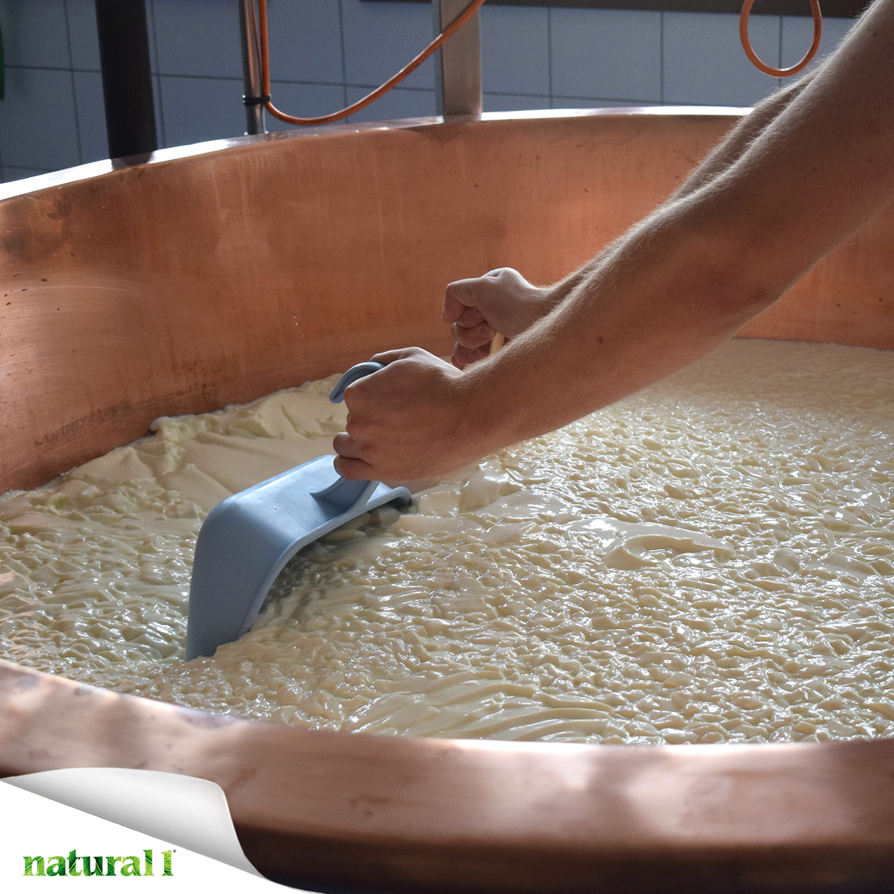 La matrice alimentare più studiata ad oggi è quella dei prodotti lattiero-caseari ed è la seguente: “descrizione della struttura unica di un alimento lattiero-caseario, dei suoi componenti (ad esempio, nutrienti e non nutrienti) e di come interagiscono tra loro”.
Più informazioni della puntata di Alimentazione ragionata pubblicata a pagina 18 del numero di aprile 2026.
https://natural1.it/sinergia-nutrizionale-e-matrice-alimentare-per-una-visione-olistica-dellalimentazione/

Photo credit: ReinhardThrainer

Per sfogliare il numero di aprile 2026 copia e incolla questo link:
https://online.pubhtml5.com/xcmo/rxsn/

#matricealimentare #latte #formaggio #prodottilattierocaseari #nutrizione #nutrienti #alimentazioneragionata #natural1rivista #natural1
