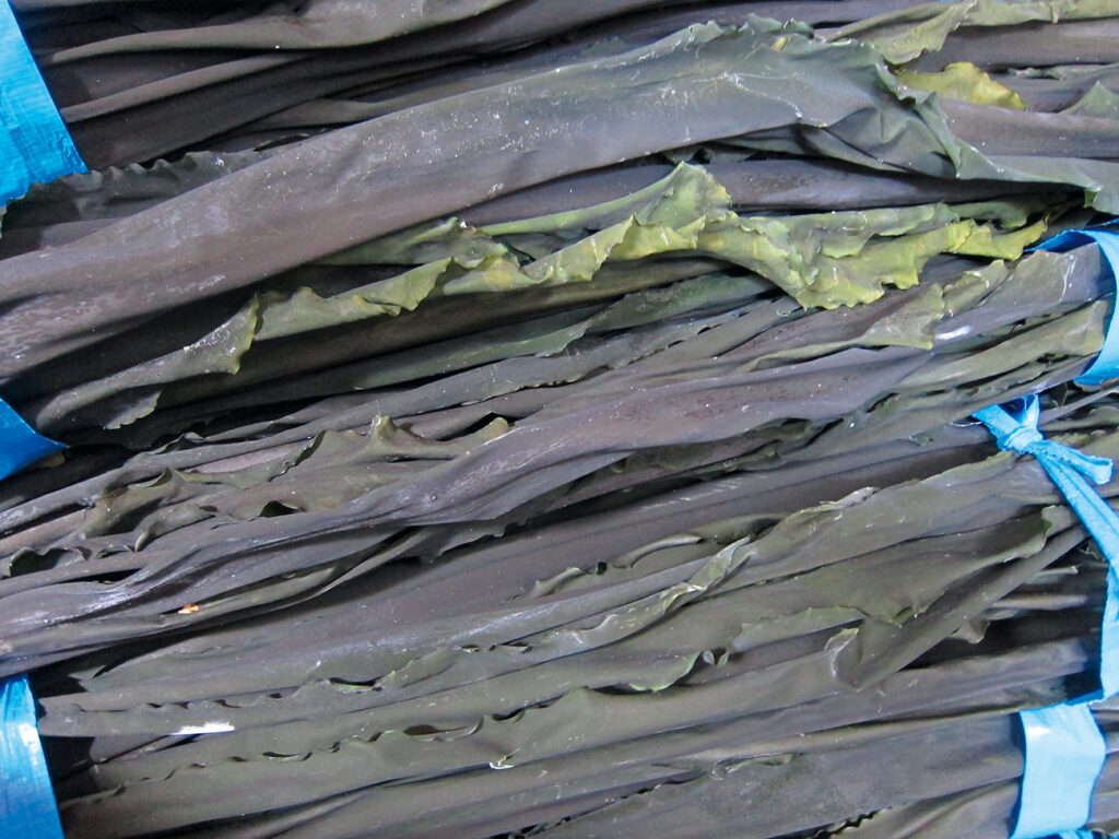 - Alga kombu, Laminaria digitata
- Nori, Wakame, Kombu.
- Basso apporto calorico.