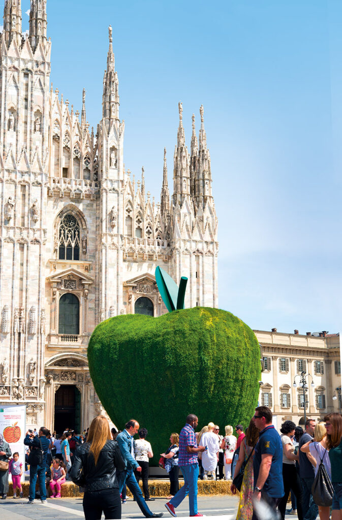 -Il melo, le origini
- La mela nella vita quotidiana e nella visione melariana
- La mela nel mito