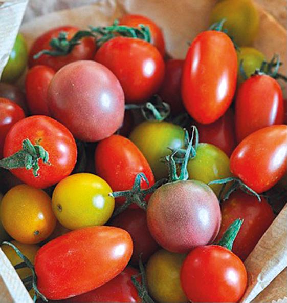 pomodori, alimentazione ragionata