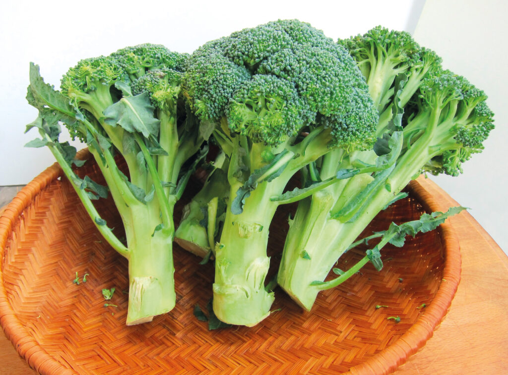 brassicaceae, broccoli, cavoli