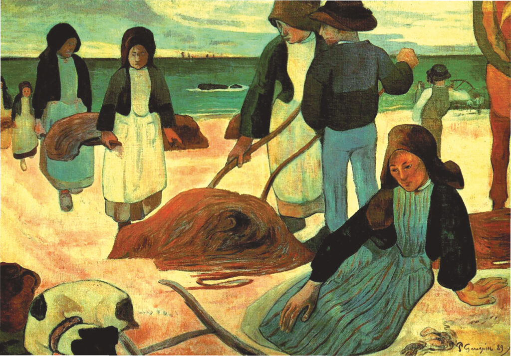 alginati, clorofille, carotenoidi ,
fucoxantine.
potenzialità nel ridurre il rischio di malattie cardiovascolari e nel contenere i livelli di insulina,colesterolo LDL.
salute del cavo orale nel cane.


