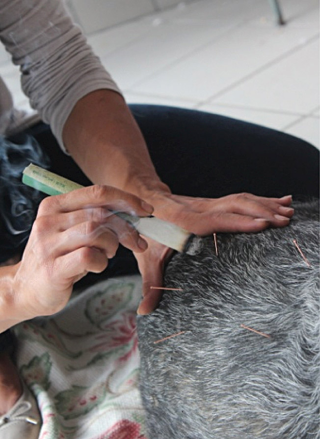 L'agopuntura nel cane e nel gatto.
sistema medico complesso e millenario definito Medicina Tradizionale Cinese.
la moxibustione.

