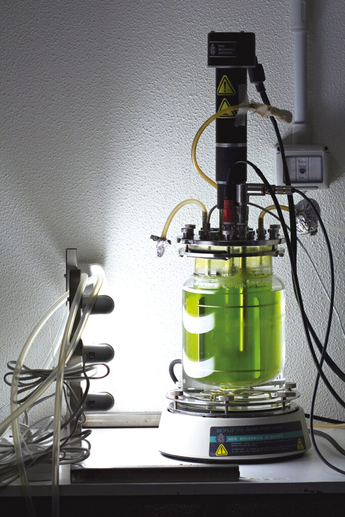 - I cosmetici fermentati, tra claims, scienza e web
- Meccanismi ossidativi e tecnologia
- le materie prime di derivazione biotecnologica
- formulazione dei cosmetici
- moderna ricerca scientifica
- chimica della fermentazione