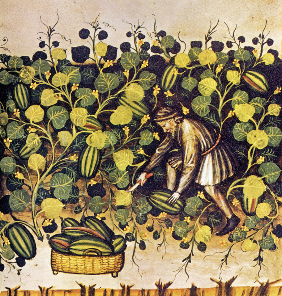 - Digiunare a intermittenza: dovremmo farlo tutti?
- Presupposti biochimici e fisiologici
- Alimentazione ragionata e componenti nutritivi
- Presupposti biochimici e fisiologici
- Sovrappeso e obesità
- Funzioni cognitive
- Tumori
- 