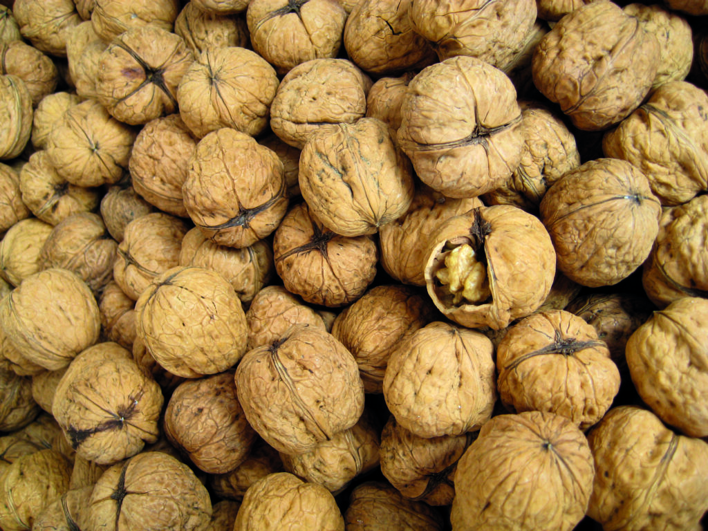 noci, frutta secca