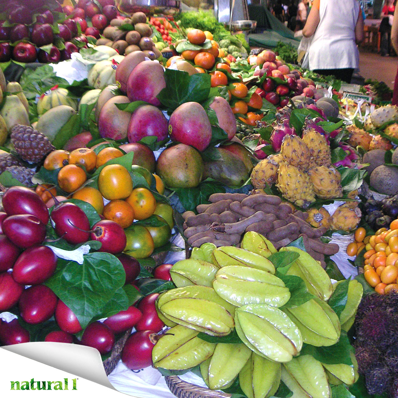 Le linee guida europee raccomandano una dieta di tipo mediterraneo con un elevato consumo di frutta, verdura, cereali integrali, pesce e olio d’oliva.
Più informazioni nella puntata della rubrica Alimentazione ragionata pubblicata a pagina 13 del numero di luglio-agosto 2026.
https://natural1.it/category/alimentazione-ragionata/

Photo credit: H. Toyama

Per sfogliare il numero di luglio-agosto 2026 copia e incolla questo link:
https://online.pubhtml5.com/xcmo/dsgw/#p=1

#fegatograsso #steatosi #frutta #verdura #cereali #pesce #oliodoliva #dietamediterranea #alimentazioneragionata #natural1rivista #natural1
