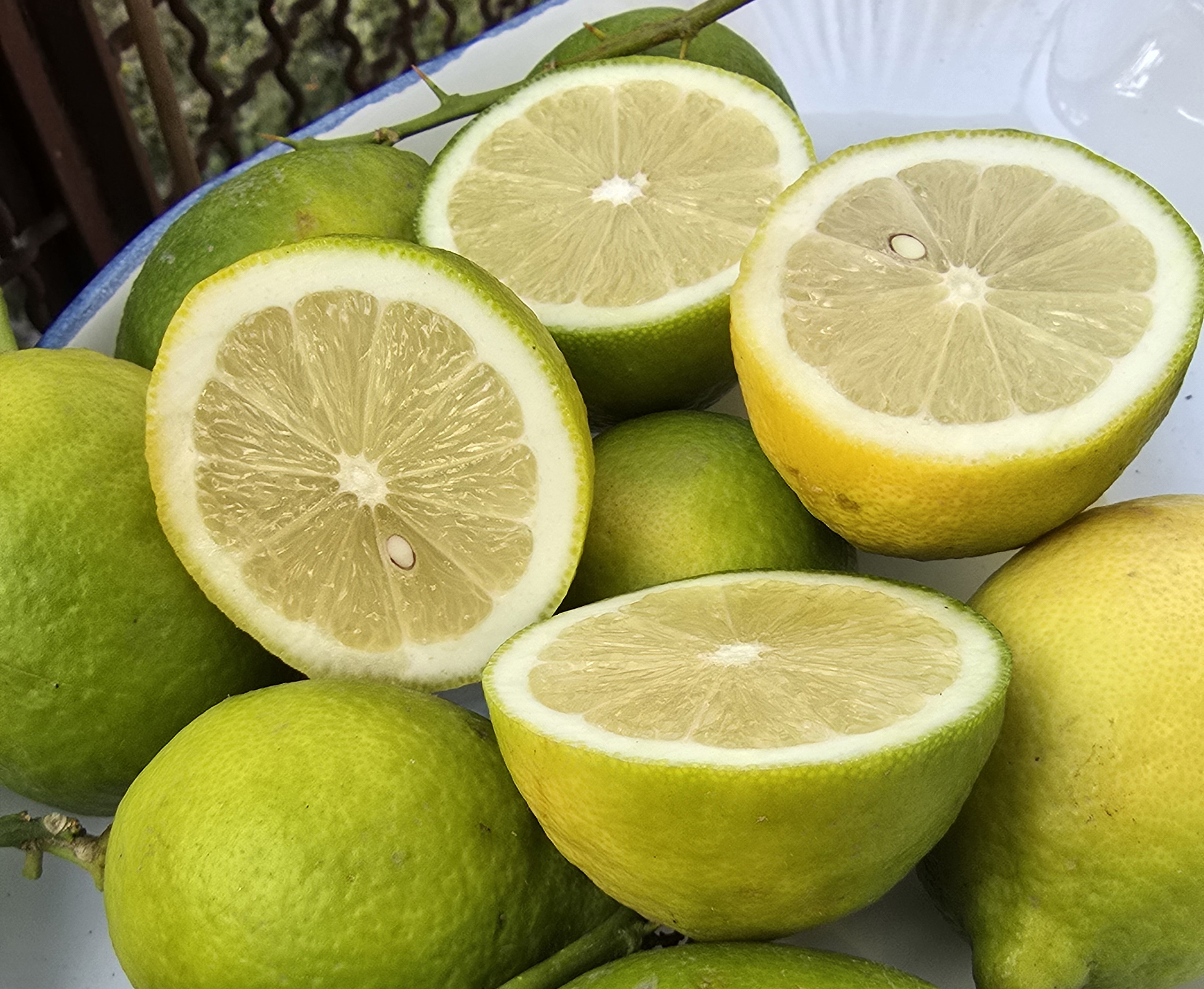 limoni, alimentazione ragionata, botulino