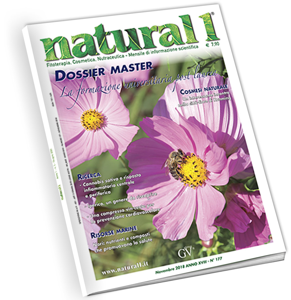 Natural 1 – Novembre 2018 (n°177)