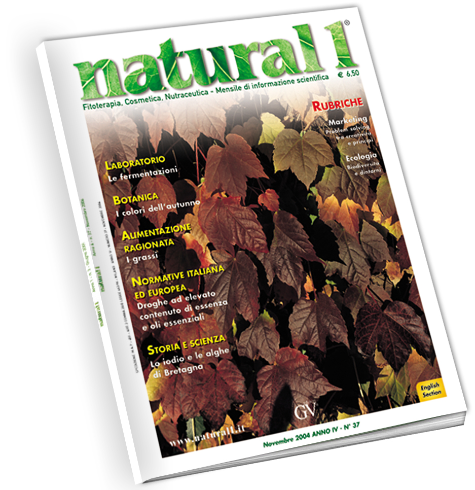 Natural 1 – Novembre 2004 (n°37)